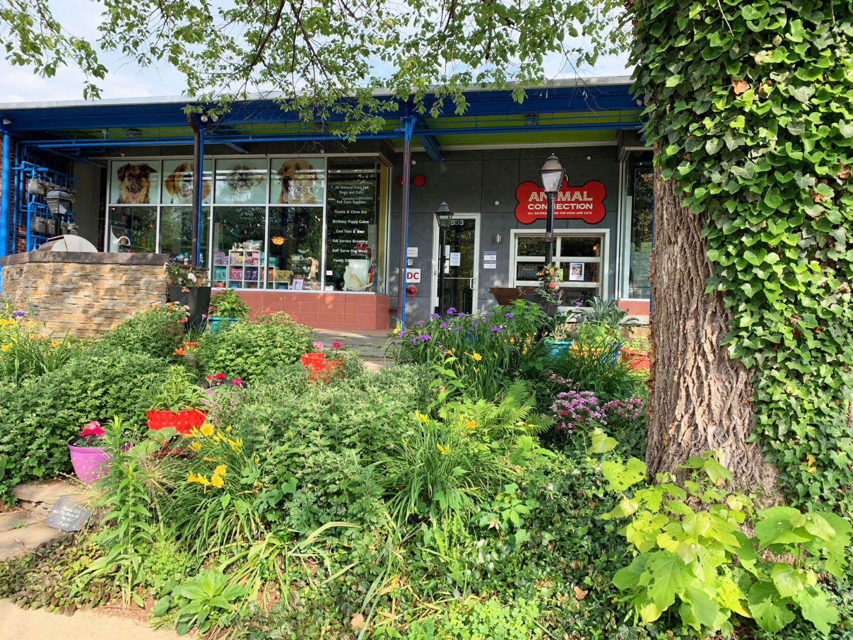 Animal Connection Summer Garden.jpg